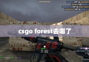 csgo forest去哪了