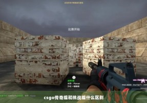 csgo传奇组和挑战组什么区别