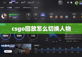 csgo回放怎么切换人物