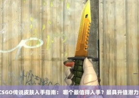 《CSGO传说皮肤入手指南： 哪个最值得入手？最具升值潜力？》