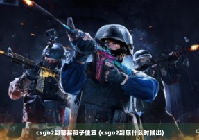 csgo2到哪买箱子便宜 (csgo2到底什么时候出)