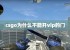 csgo为什么不能开vip的门