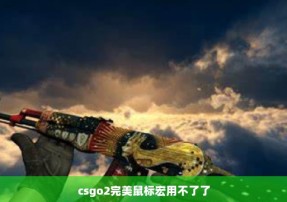 csgo2完美鼠标宏用不了了