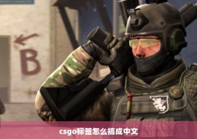 csgo标签怎么搞成中文