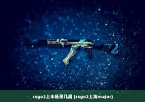 csgo2上半场是几局 (csgo2上海major)