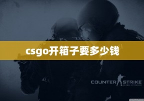 csgo开箱子要多少钱