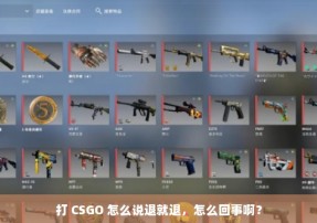 打 CSGO 怎么说退就退，怎么回事啊？