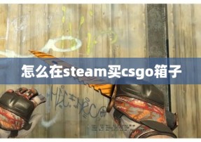 怎么在steam买csgo箱子