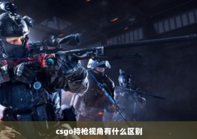 csgo持枪视角有什么区别