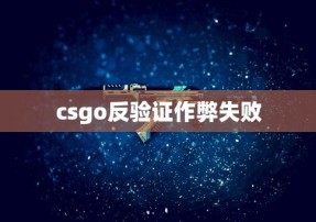 csgo反验证作弊失败