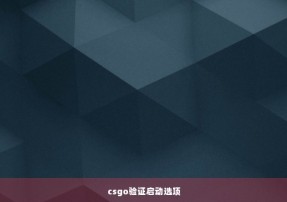 csgo验证启动选项