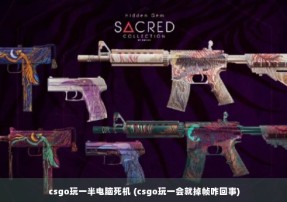 csgo玩一半电脑死机 (csgo玩一会就掉帧咋回事)