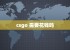 csgo 需要花钱吗