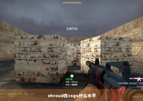 shroud在csgo什么水平