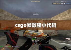 csgo帧数缩小代码