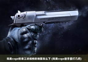 完美csgo创意工坊练枪的地图怎么下 (完美csgo新手要打几把)