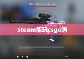 steam能玩csgo吗