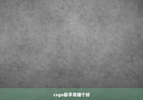 csgo助手用哪个好