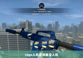 csgo人机训练赛没人机