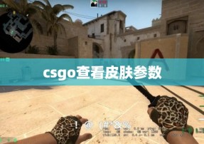 csgo查看皮肤参数