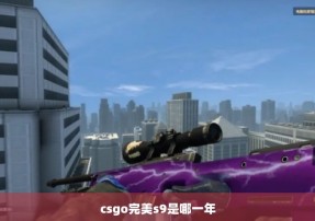 csgo完美s9是哪一年