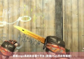 欧服csgo卖皮肤去哪个平台 (欧服csgo平台有哪些)