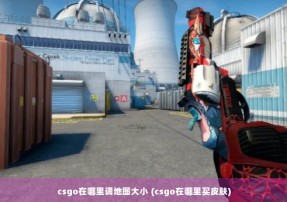 csgo在哪里调地图大小 (csgo在哪里买皮肤)