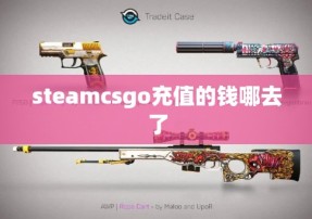 steamcsgo充值的钱哪去了