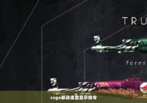 csgo移动速度显示指令