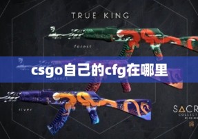 csgo自己的cfg在哪里