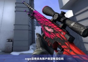 csgo没有优先账户就没有段位吗