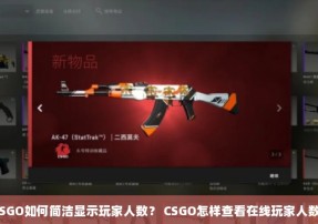 CSGO如何简洁显示玩家人数？ CSGO怎样查看在线玩家人数？