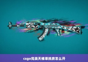 csgo完美天梯单挑房怎么开