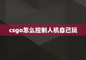 csgo怎么控制人机自己玩