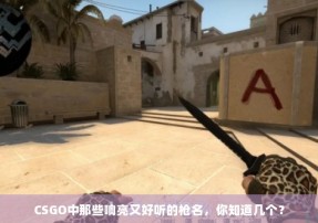 CSGO中那些响亮又好听的枪名，你知道几个？