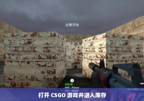 打开 CSGO 游戏并进入库存