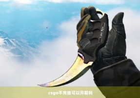 csgo不充钱可以开箱吗