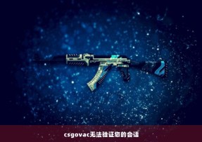 csgovac无法验证您的会话