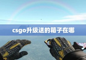 csgo升级送的箱子在哪