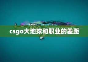 csgo大地球和职业的差距