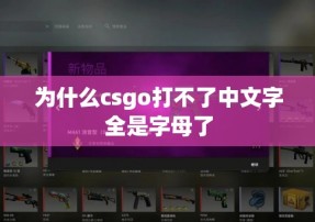 为什么csgo打不了中文字全是字母了