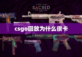 csgo回放为什么很卡