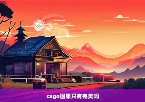 csgo国服只有完美吗