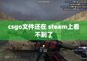 csgo文件还在 steam上看不到了