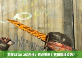 购买CSGO 2优先权：有必要吗？它值得投资吗？