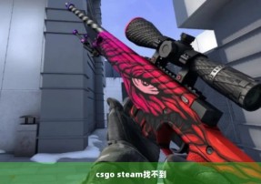 csgo steam找不到