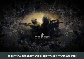 csgo一个人怎么只玩一个图 (csgo一个箱子一个钥匙多少钱)