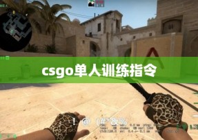 csgo单人训练指令