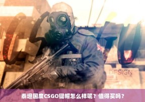 泰坦国度CSGO键帽怎么样呢？值得买吗？