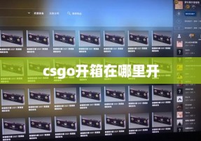 csgo开箱在哪里开